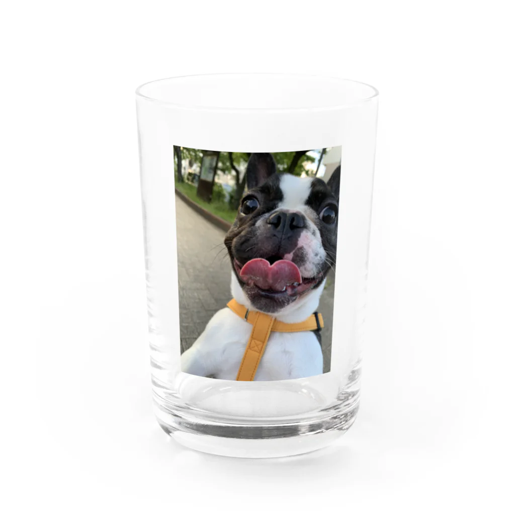 buhibuhi🐶のゆず Water Glass :front