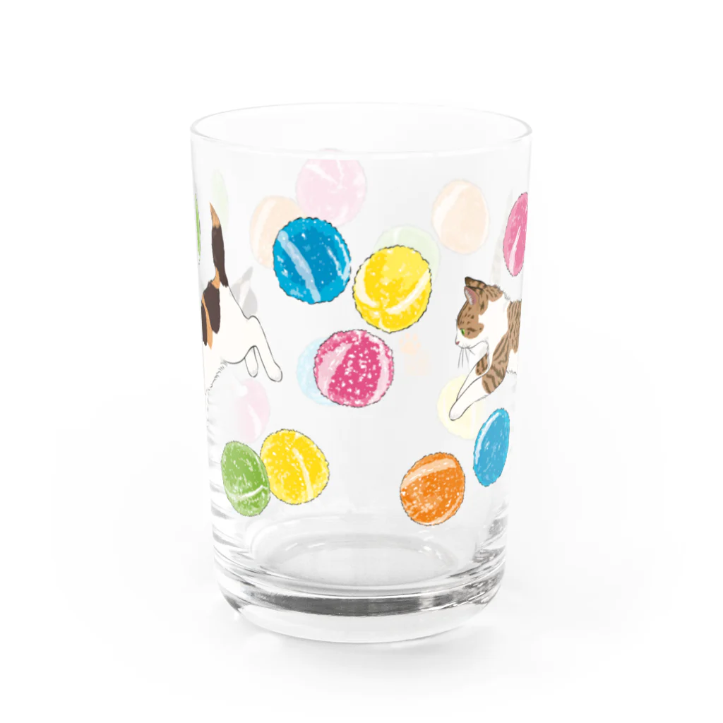 元祖ふとねこ堂のあめぴょん Water Glass :front