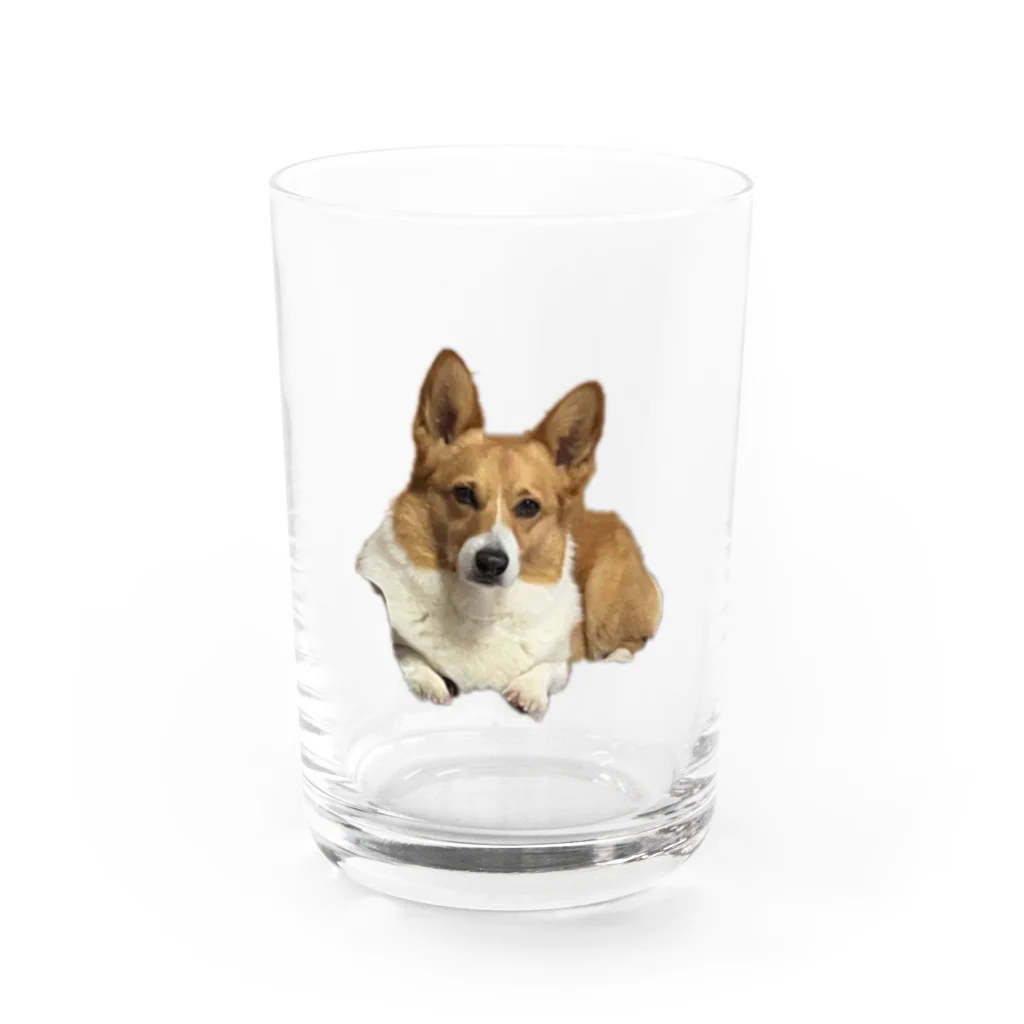 wどうぶつのこてこてつくん Water Glass :front