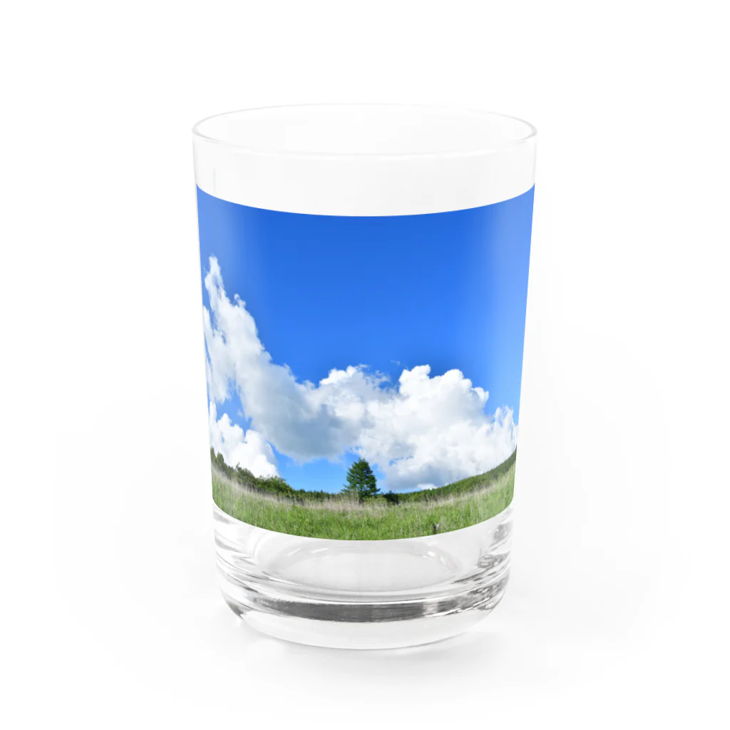 pattedyrの高原の青空 Water Glass :front