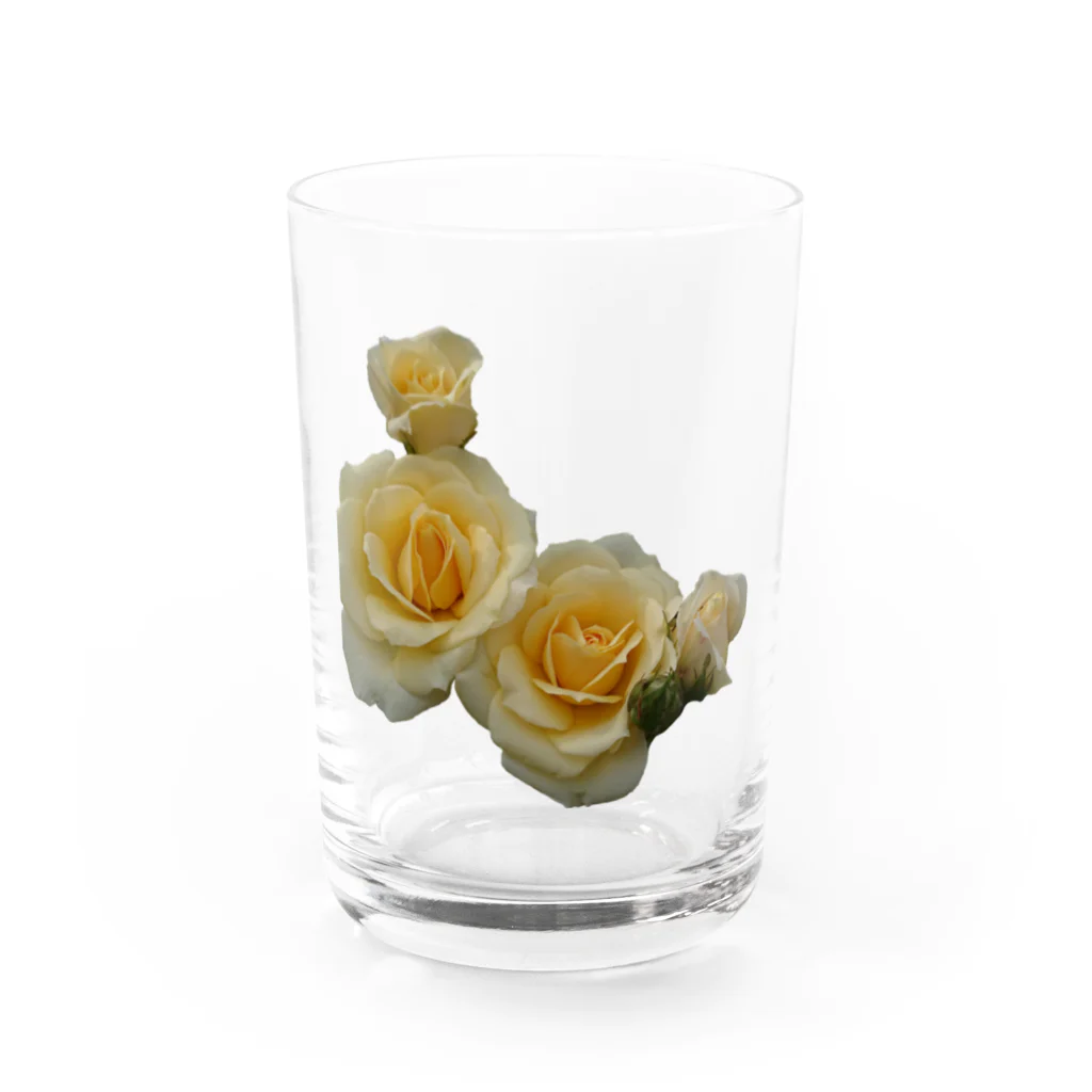 工房マゾヒストの黄色 Water Glass :front