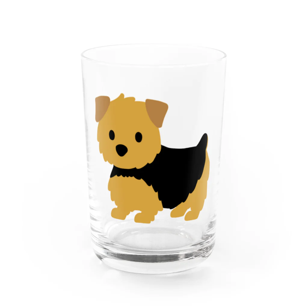 TOMOS-dogのnorfolkterrier（ブラタン） Water Glass :front