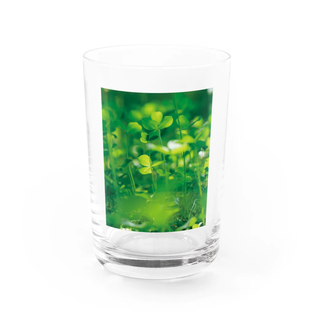 akane_art（茜音工房）の癒しの風景（クローバー） Water Glass :front