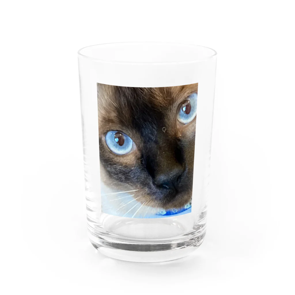 モカちゃんのMacaちゃん Water Glass :front