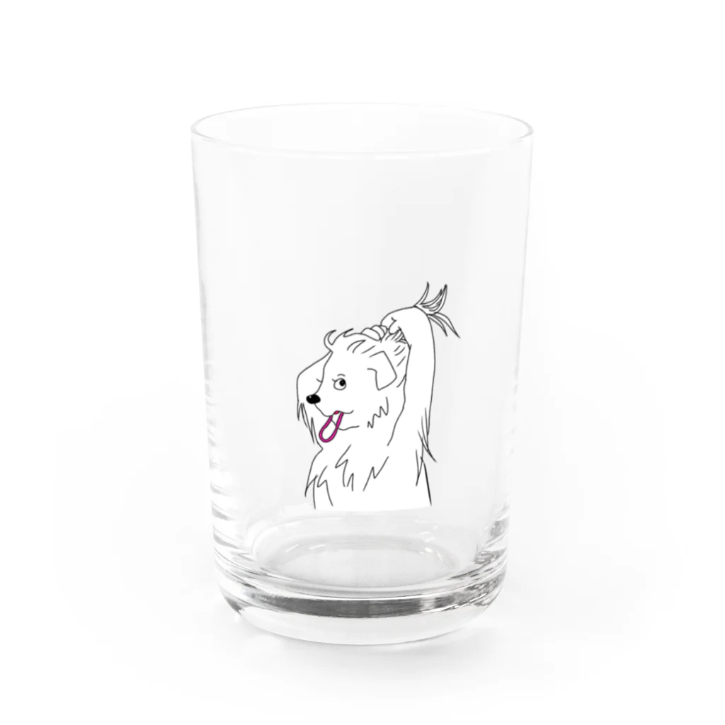 毎日イッヌのおしゃまイッヌ Water Glass :front