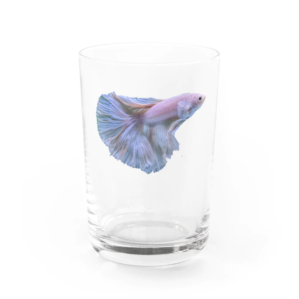 eigMCZ@TD4のシルビア Water Glass :front