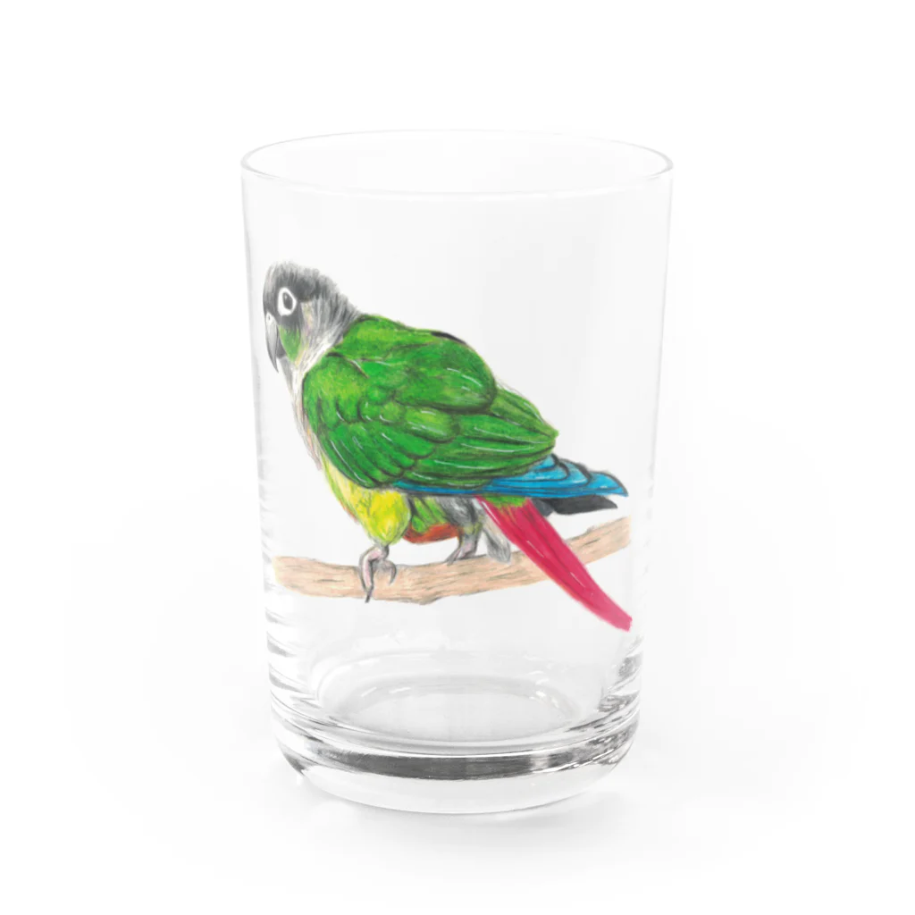 森図鑑の[森図鑑] ウロコインコC 横向き Water Glass :front