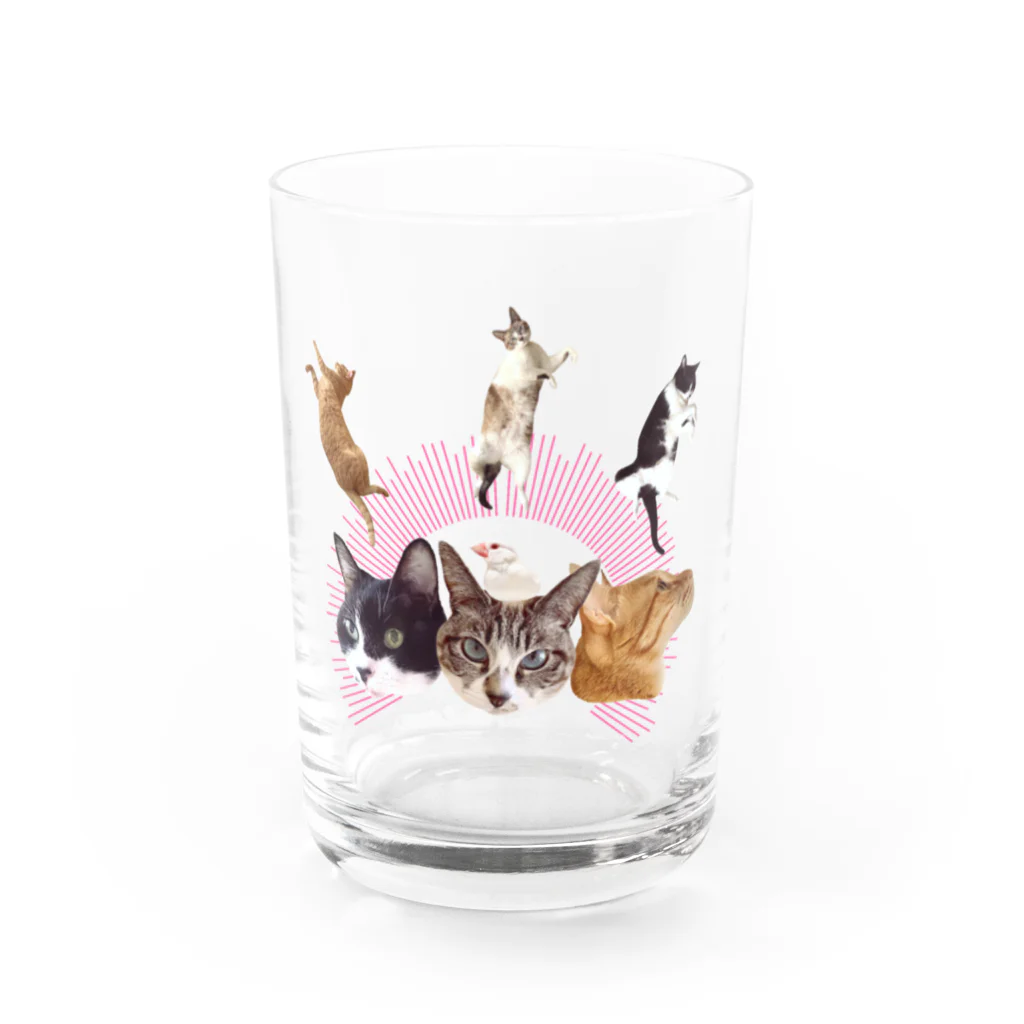 エビなしエビフライのうち猫崇拝<ピンク> Water Glass :front