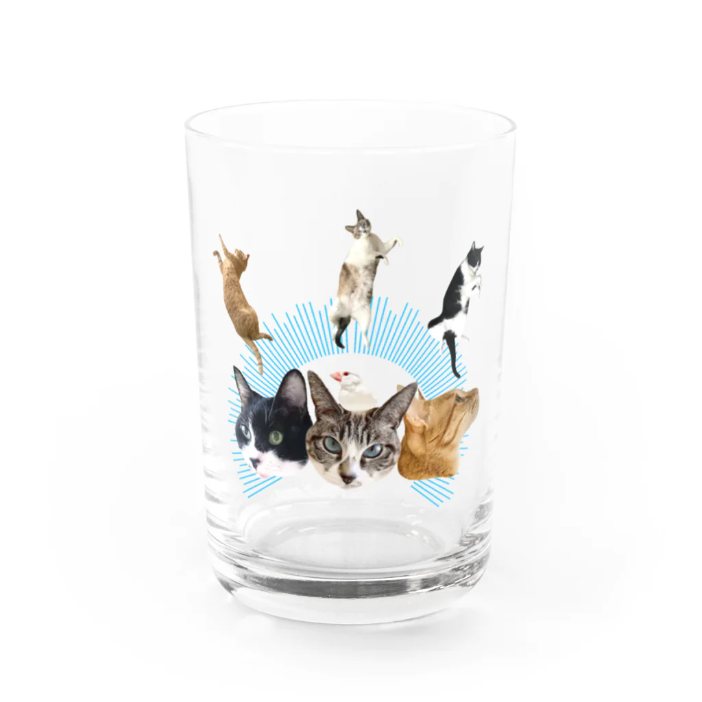 エビなしエビフライのうち猫崇拝<ブルー> Water Glass :front