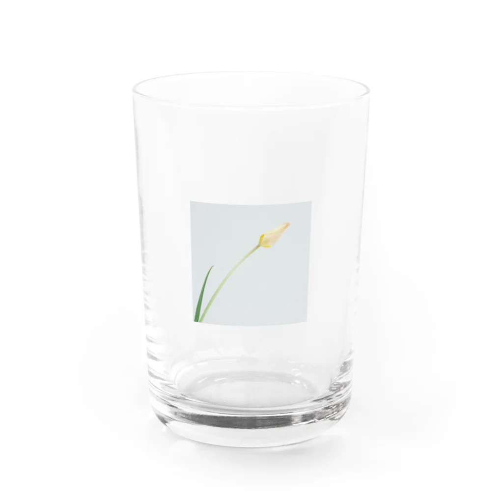 syuichiのflower_001 Water Glass :front