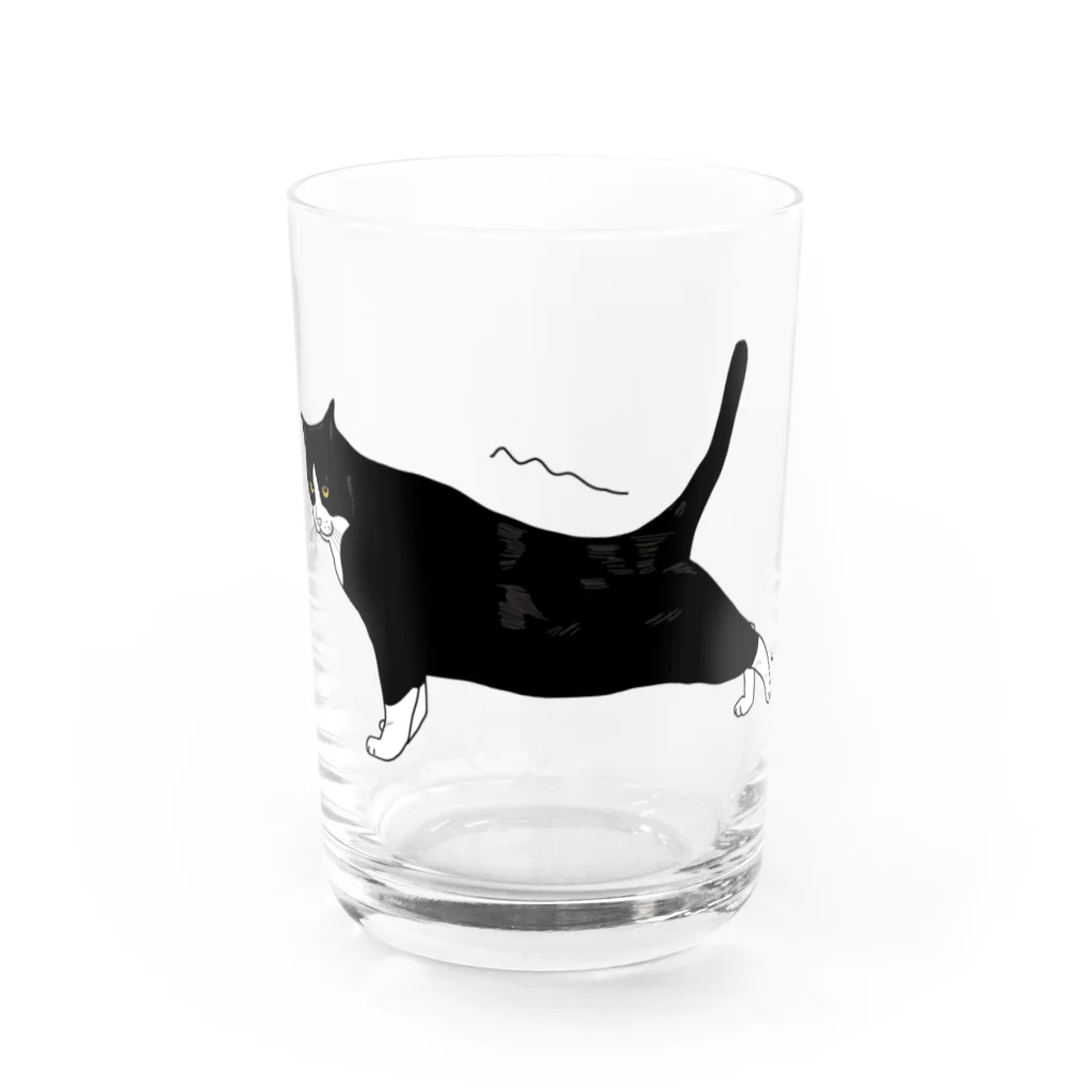 小鳥と映画館の伸びをするハチワレちゃん Water Glass :front