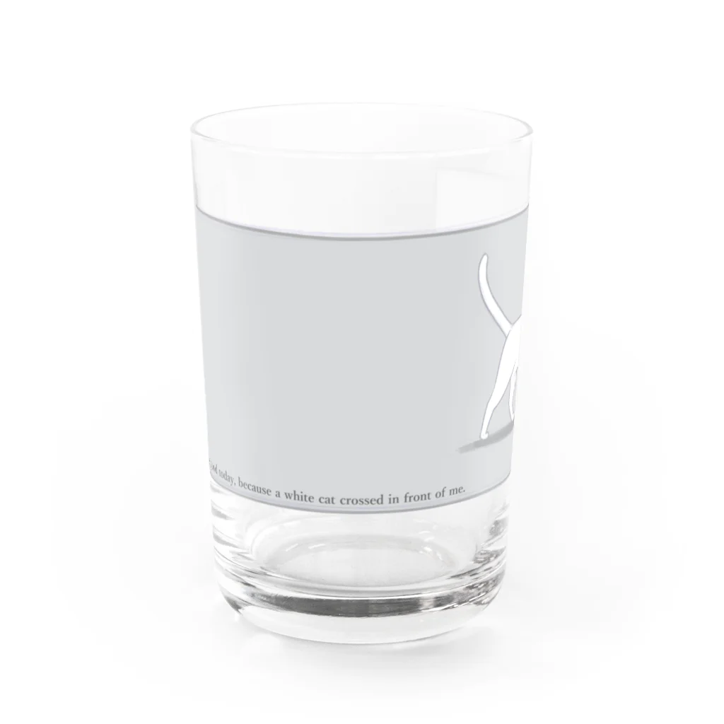 ハナイとトンの猫が目の前を横切った（白猫） Water Glass :front