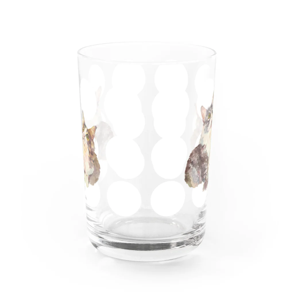 TSUJI EMIのニャンコグラス【G】 Water Glass :front