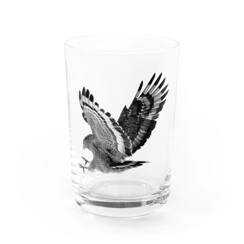 WILDBIRD GOODS SHOPのカンムリワシ・モノクロ Water Glass :front