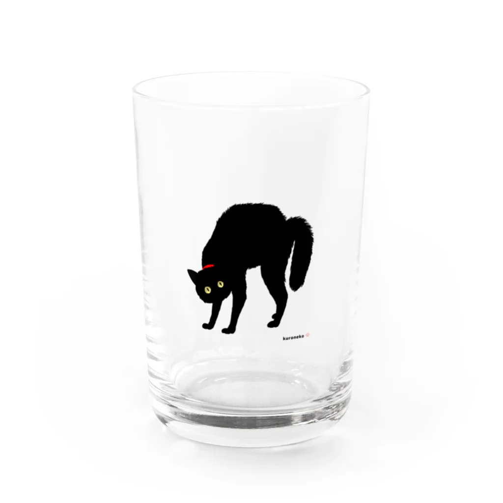 小鳥と映画館の赤い首輪のツンな黒猫ちゃん Water Glass :front