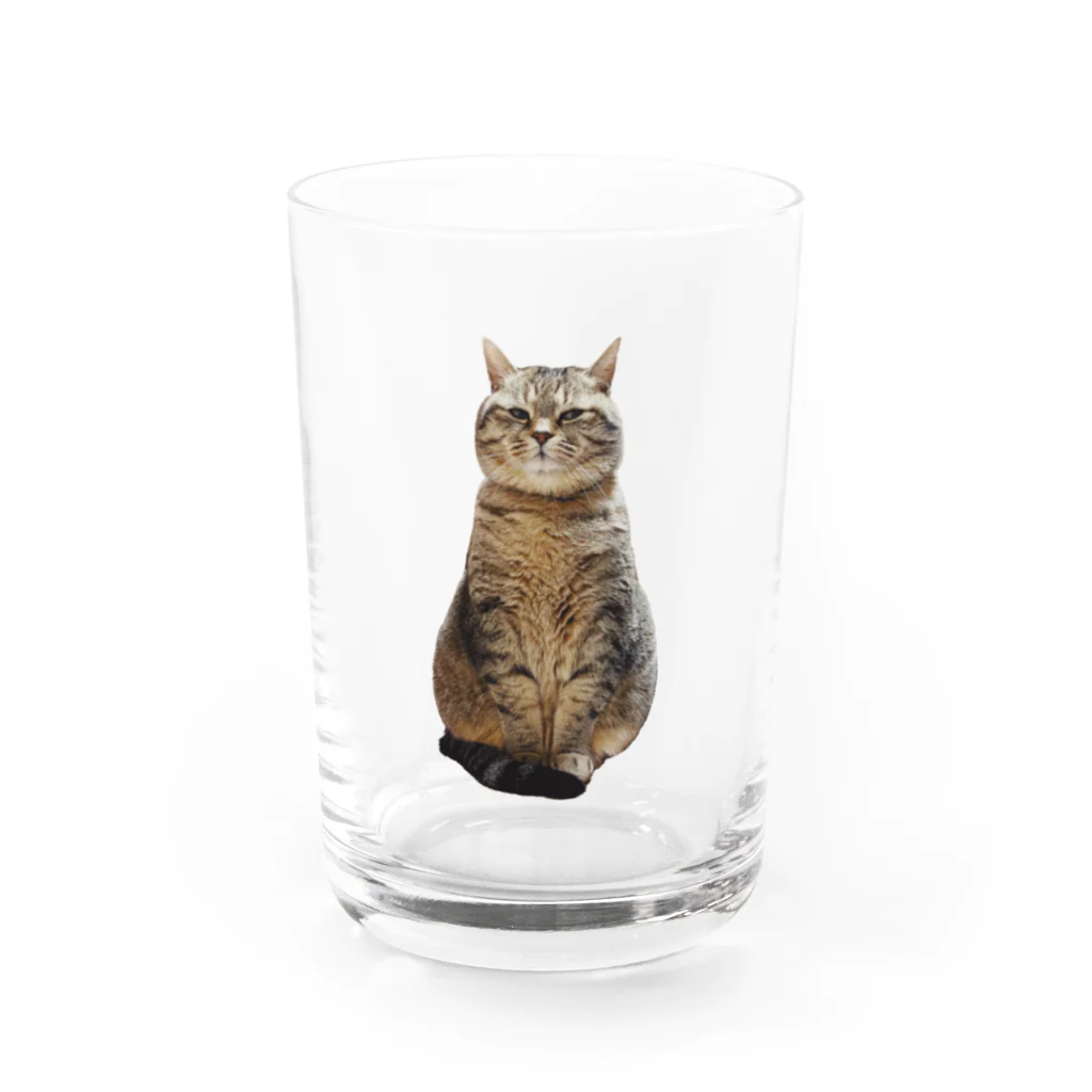 城のジロリまるぴ Water Glass :front