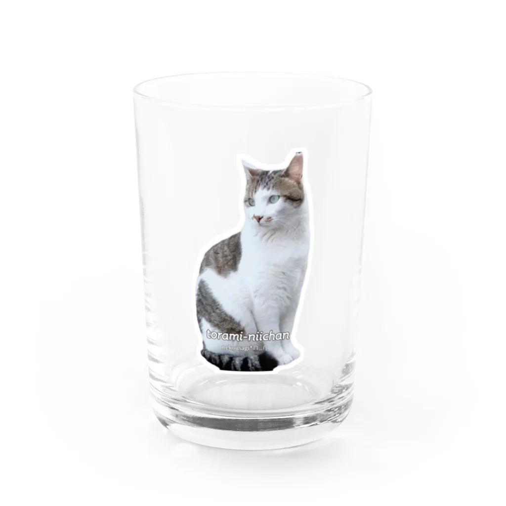 nekousagi*∩..∩のトラミ兄ちゃんリーダーの風格😽✨【nekousagi*∩..∩ロゴ入り】 Water Glass :front