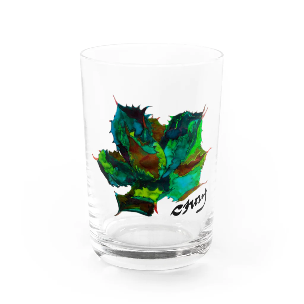 やすだのやつのアガベ雷神 Water Glass :front