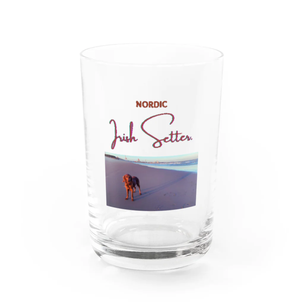 nordic_irishsetterのサマーノルディック Water Glass :front