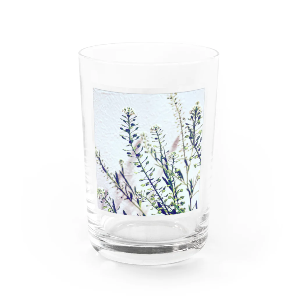 blancillaの揺れる花 Water Glass :front