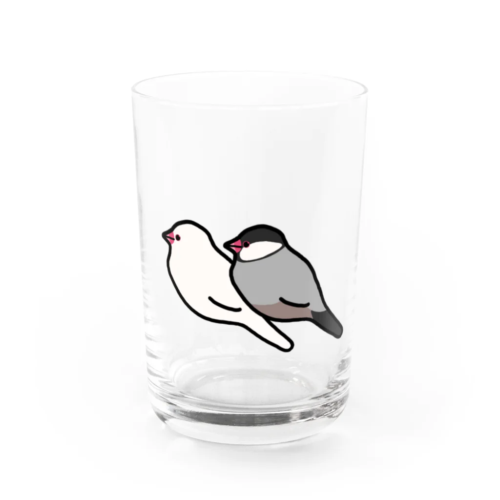 Oshiboriの白文鳥と桜文鳥 Water Glass :front