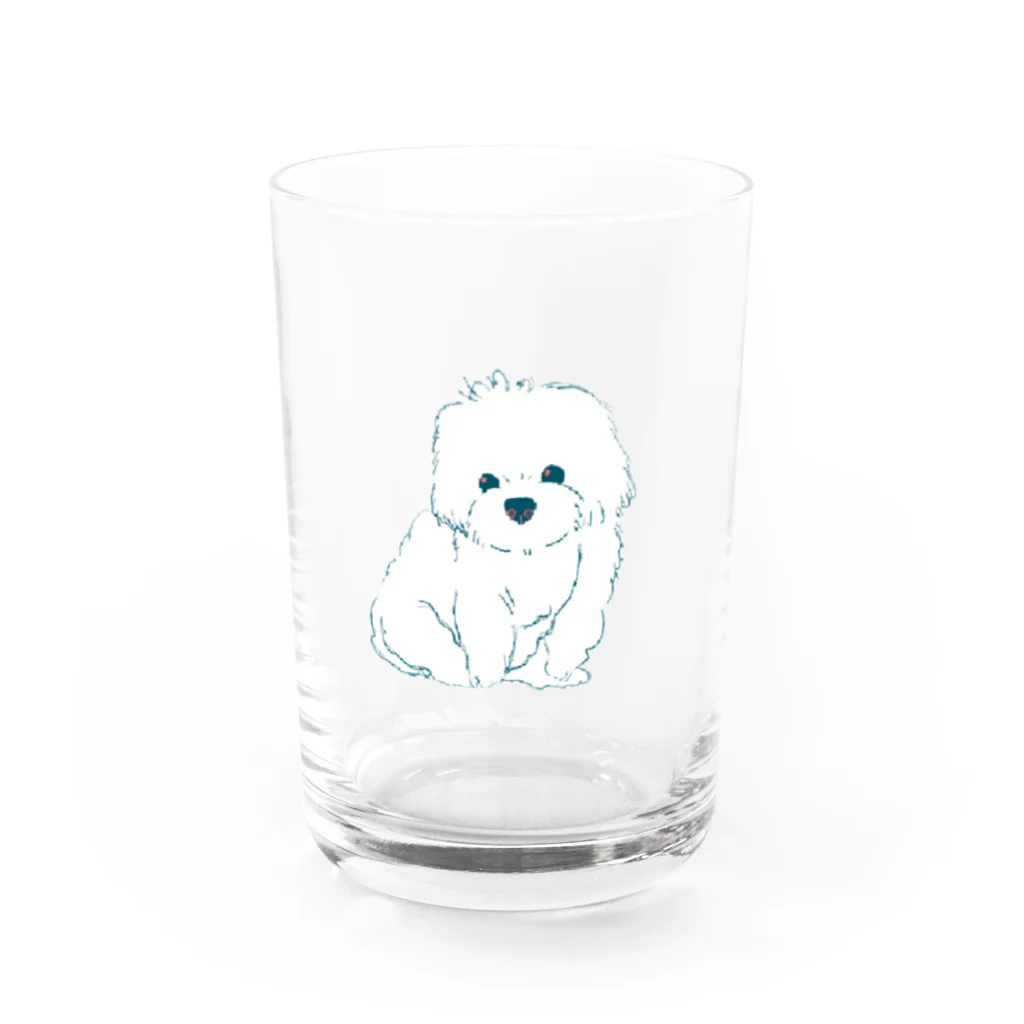 akariのマルチーズもふもふ Water Glass :front