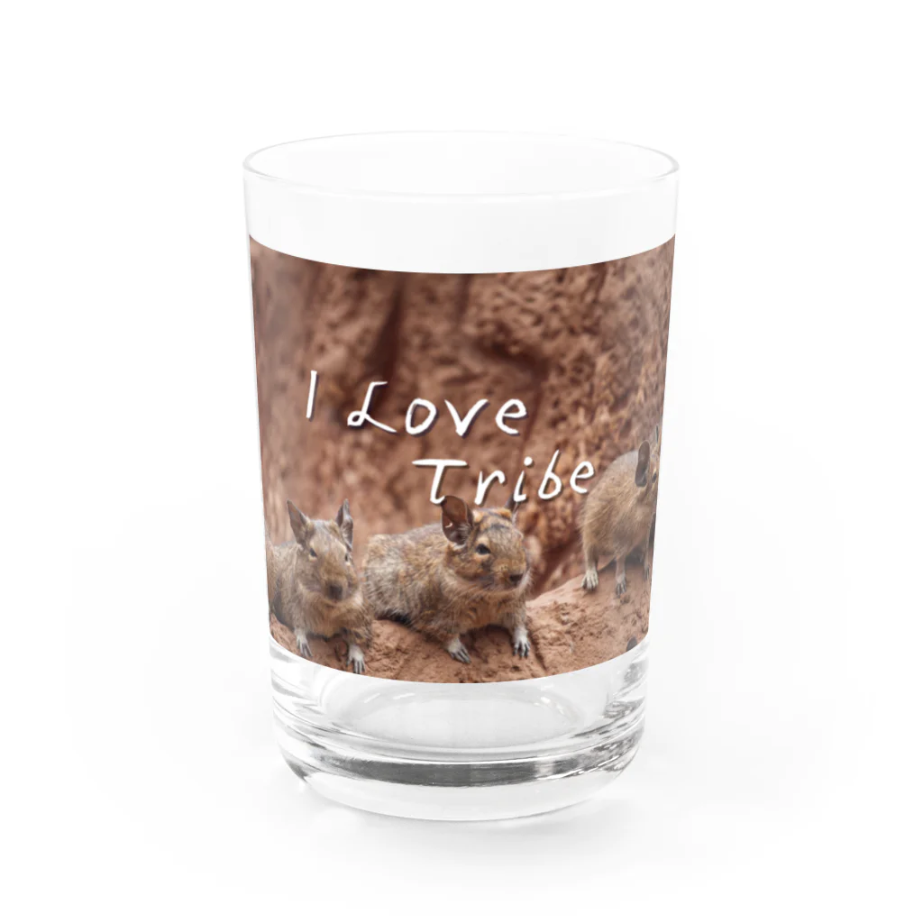 ミラくまのI LOVE Tribe Water Glass :front