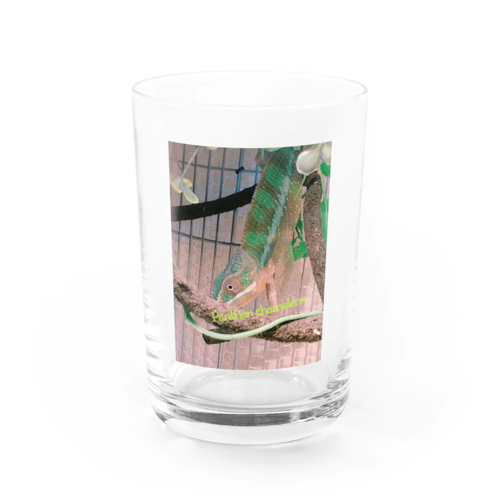 ruka2825のぱんくん Water Glass :front