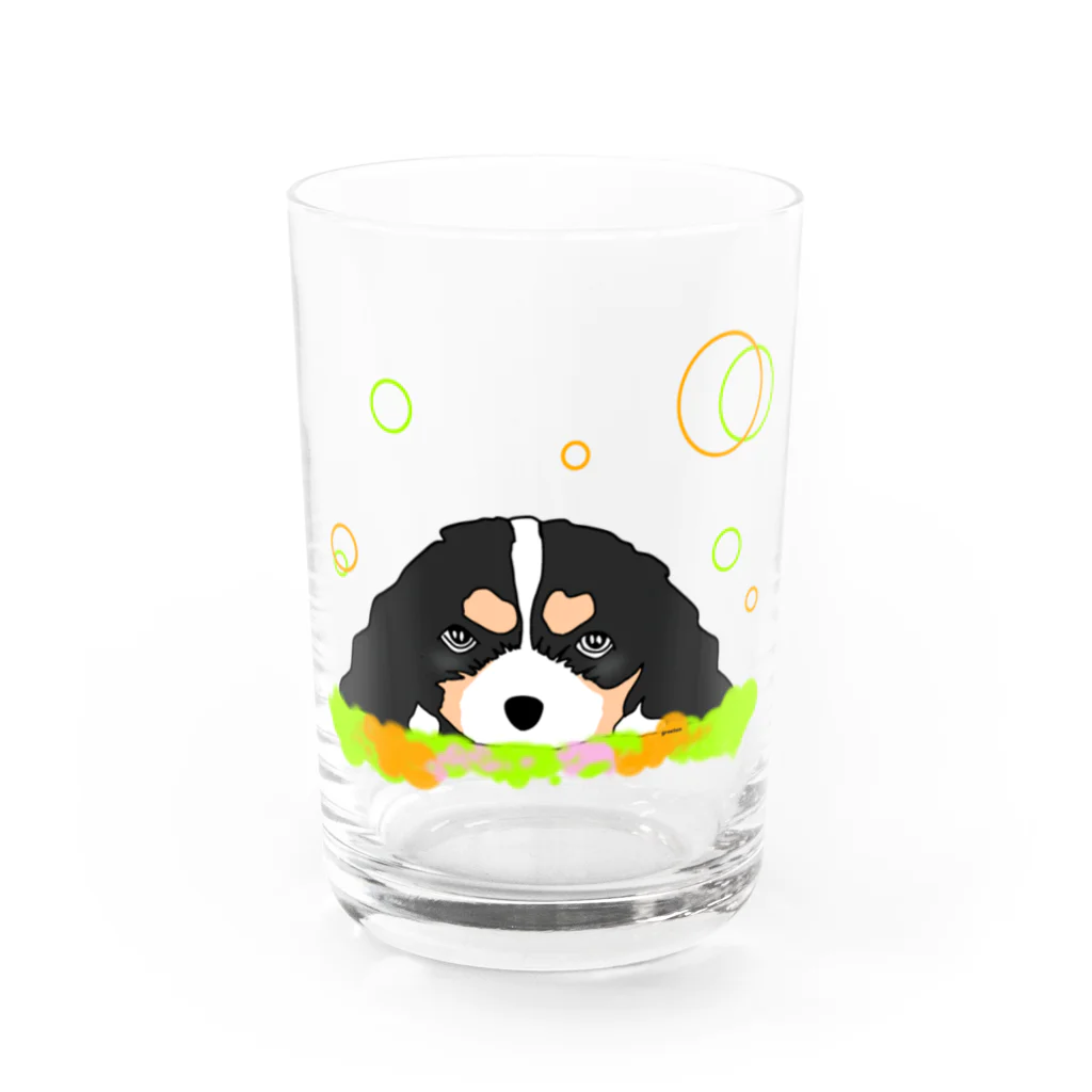 greetenのキャバリアトライカラー癒し犬 Water Glass :front