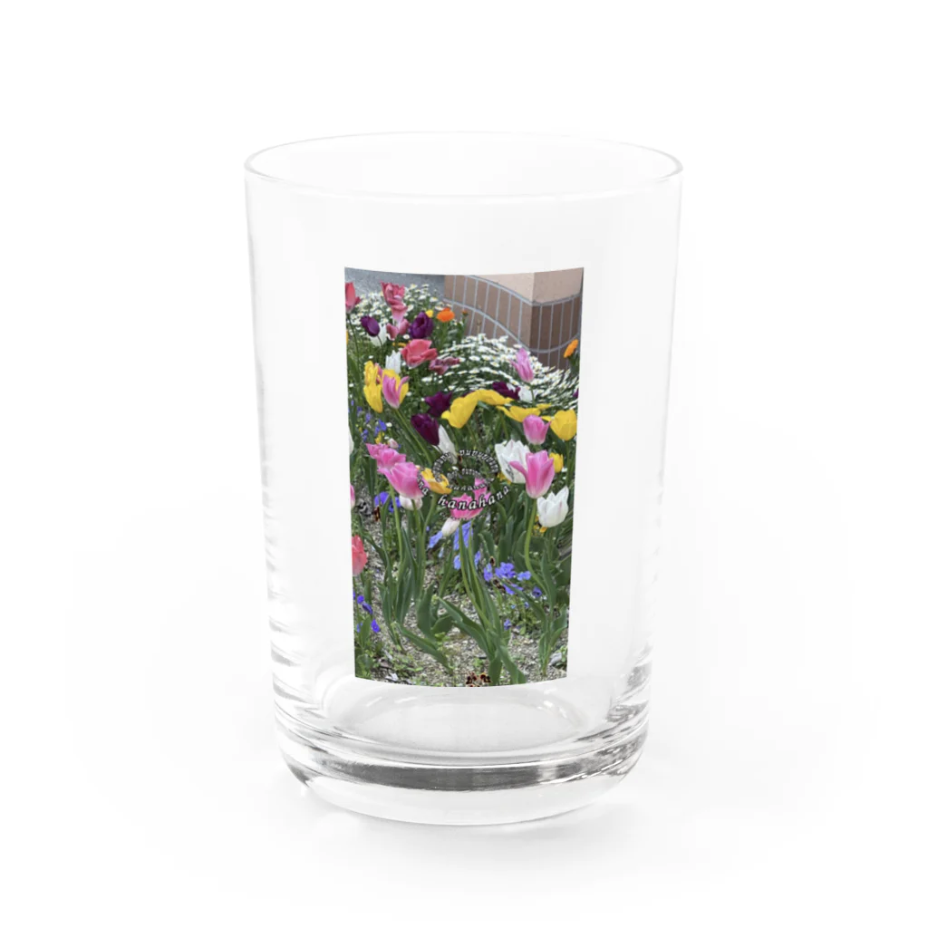 hanahanaのhanahana Water Glass :front