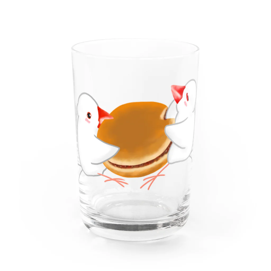 Lily bird（リリーバード）のどら焼きと文鳥ず Water Glass :front