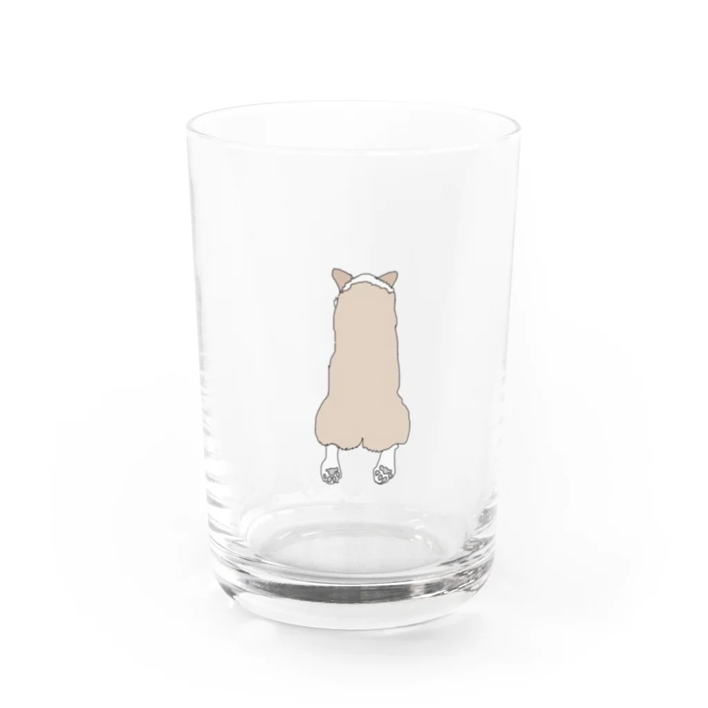 ランミーの伏せ寝コーギー Water Glass :front