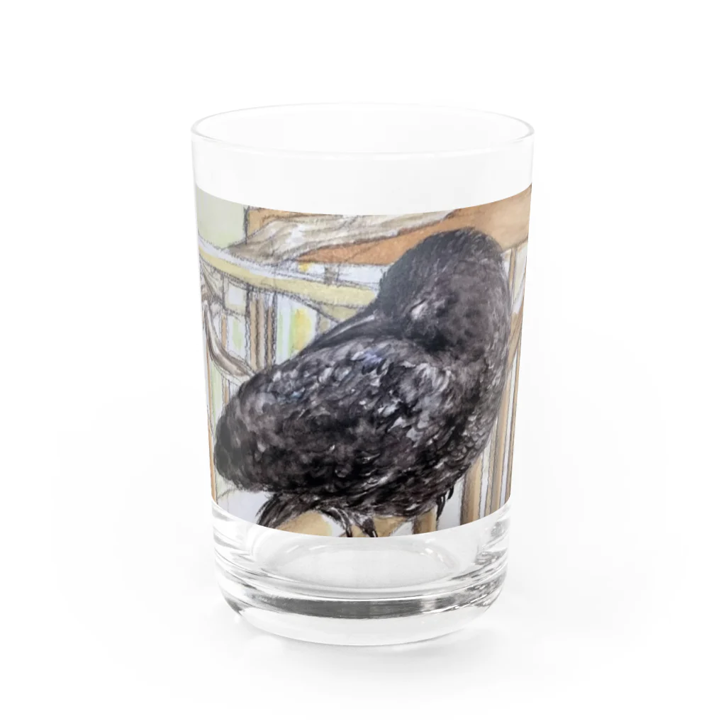 パート主婦しずかのオリジナルイラストグッズのカラスのハッピー Water Glass :front