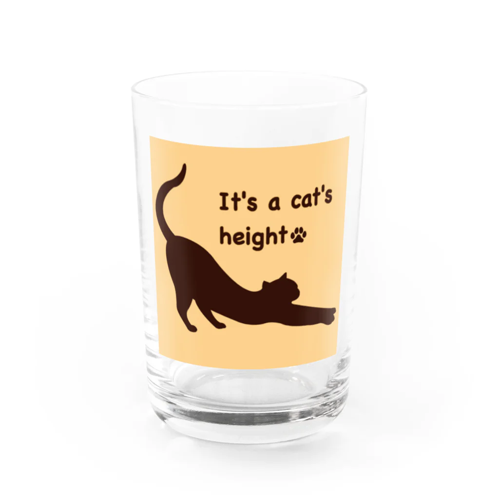 薈.collectionの背伸び猫🐱シリーズ Water Glass :front