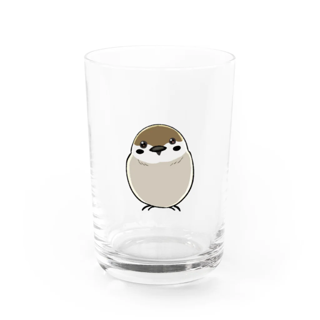 ふくふくSHOPのすずめー手描き風小鳥グッズシリーズー Water Glass :front