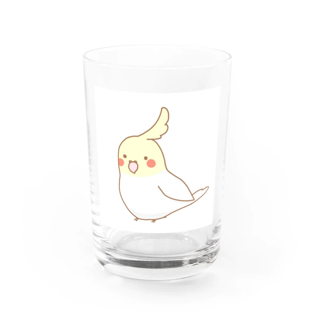 トリッピーのオカメインコ Water Glass :front