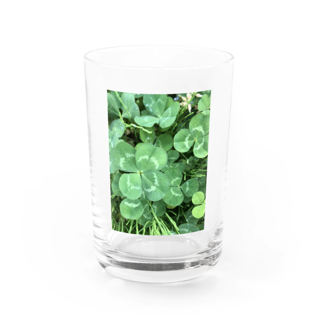 hia's photogalleryの自分らしさが幸せ Water Glass :front