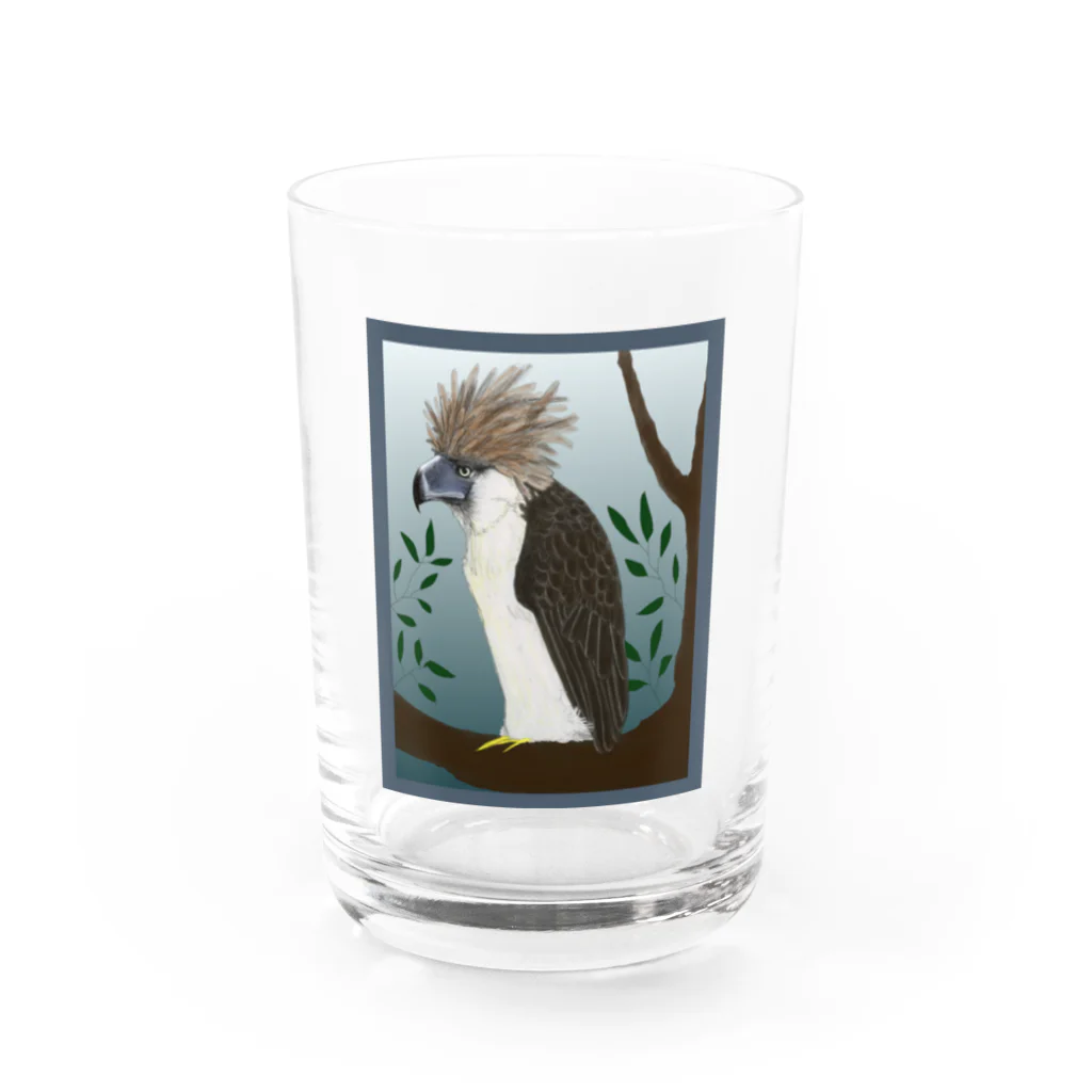 Sea of Grassの遠くを見るフィリピンワシ Water Glass :front