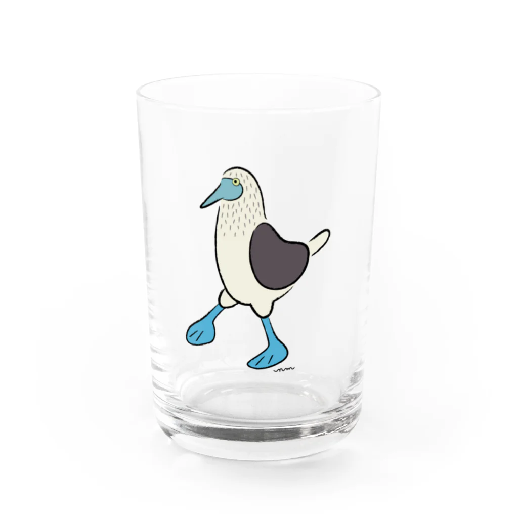 NMのお散歩アオアシカツオドリ Water Glass :front