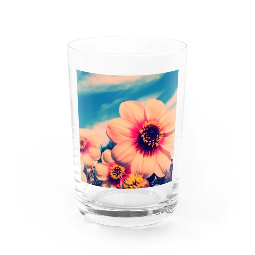 KASIのHANAtoSORA Water Glass :front