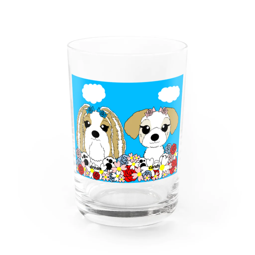 kororeo工房のお花畑けのシーズーちゃん達 Water Glass :front