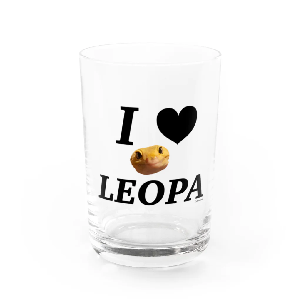 collon panのＩ🖤ＬＥＯＰＡ Water Glass :front