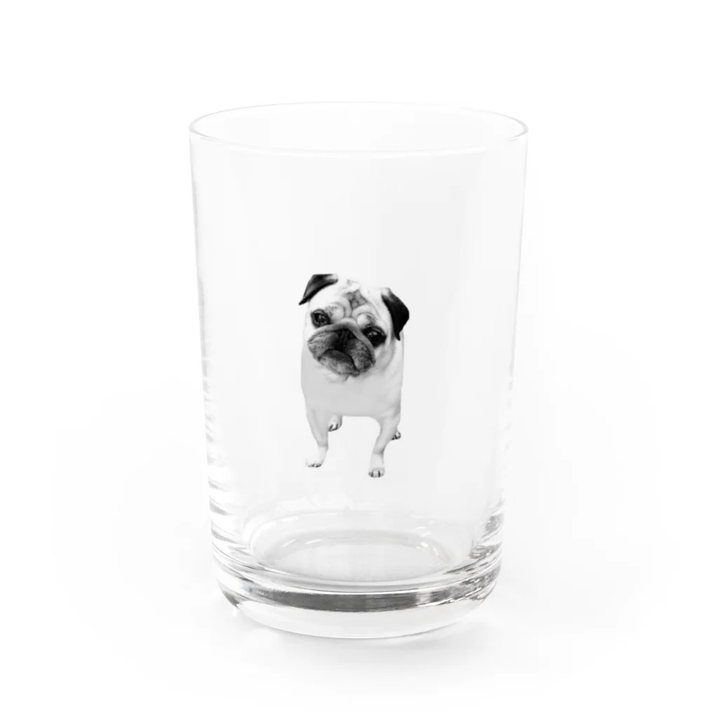 hanachobikoのかわいいパグリアル Water Glass :front