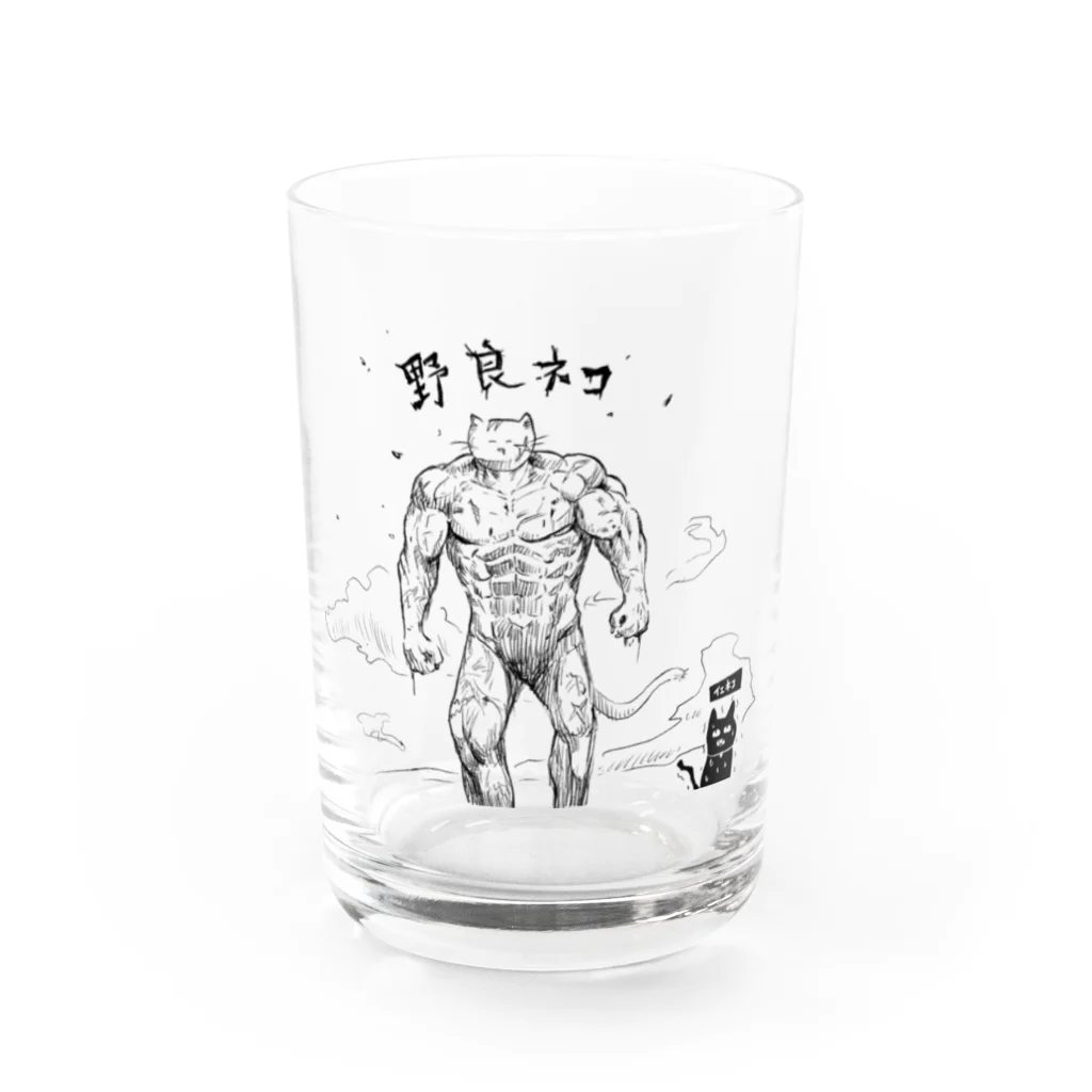 イエネコの野良猫と家猫 Water Glass :front