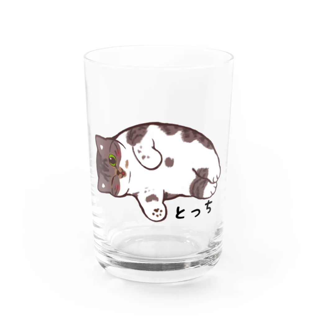 キジトラとっちさんのとっちのグラビア Water Glass :front