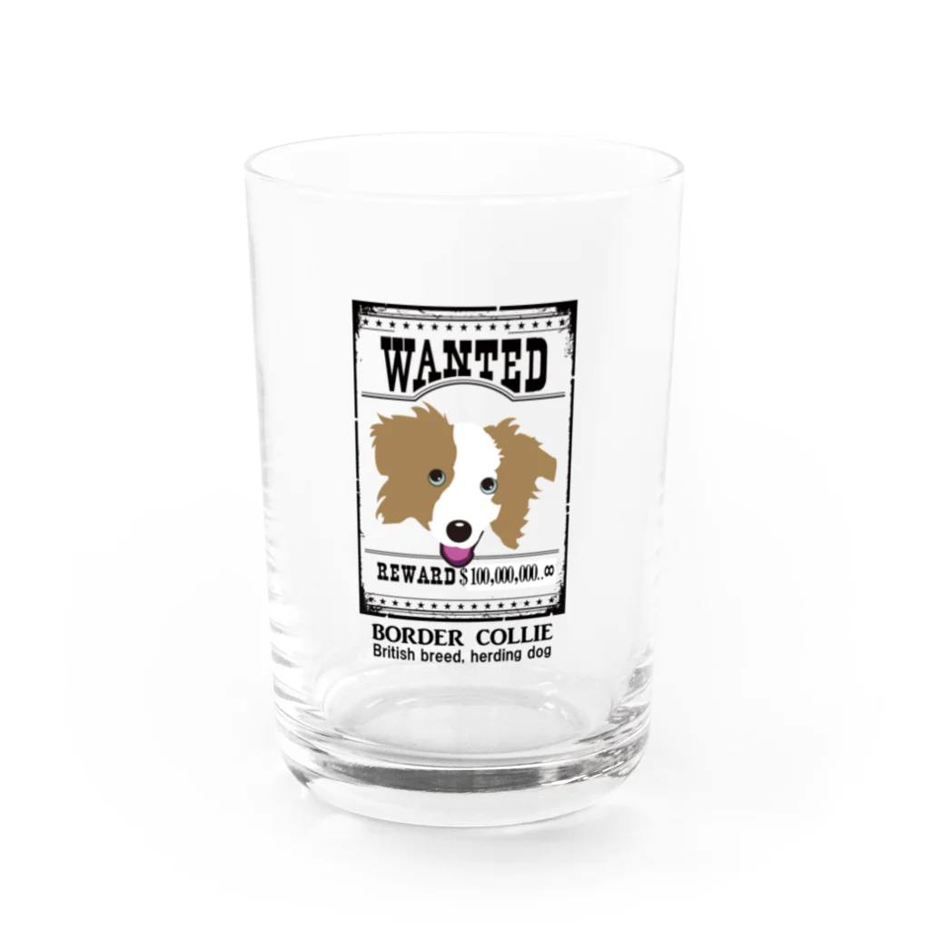 Bordercollie StreetのWLC0807 Water Glass :front