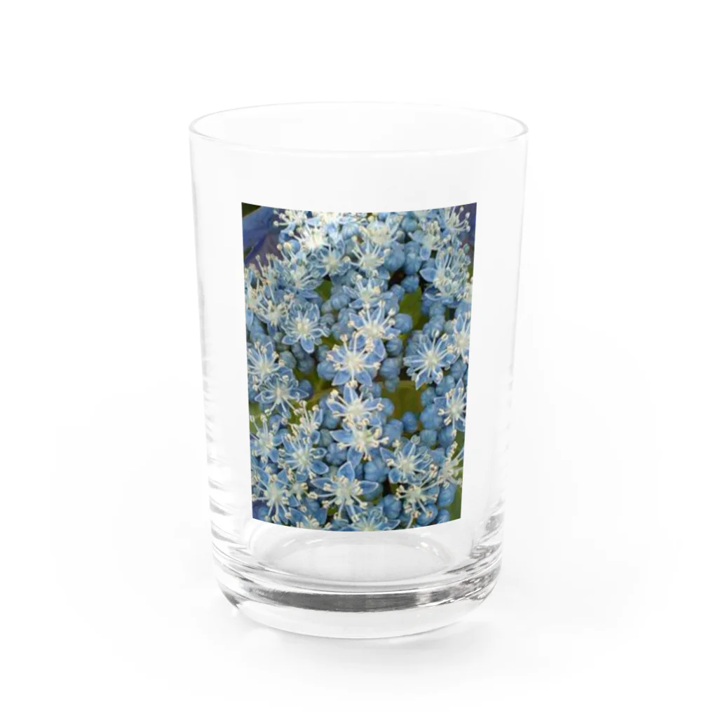 Dreamscape(LUNA)の中心部は・・・？ Water Glass :front