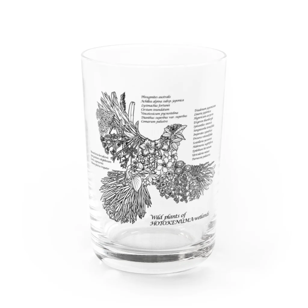 雁花工房（寄付アイテム販売中です）のWild plants of HOTOKENUMA-wetlands（黒） Water Glass :front