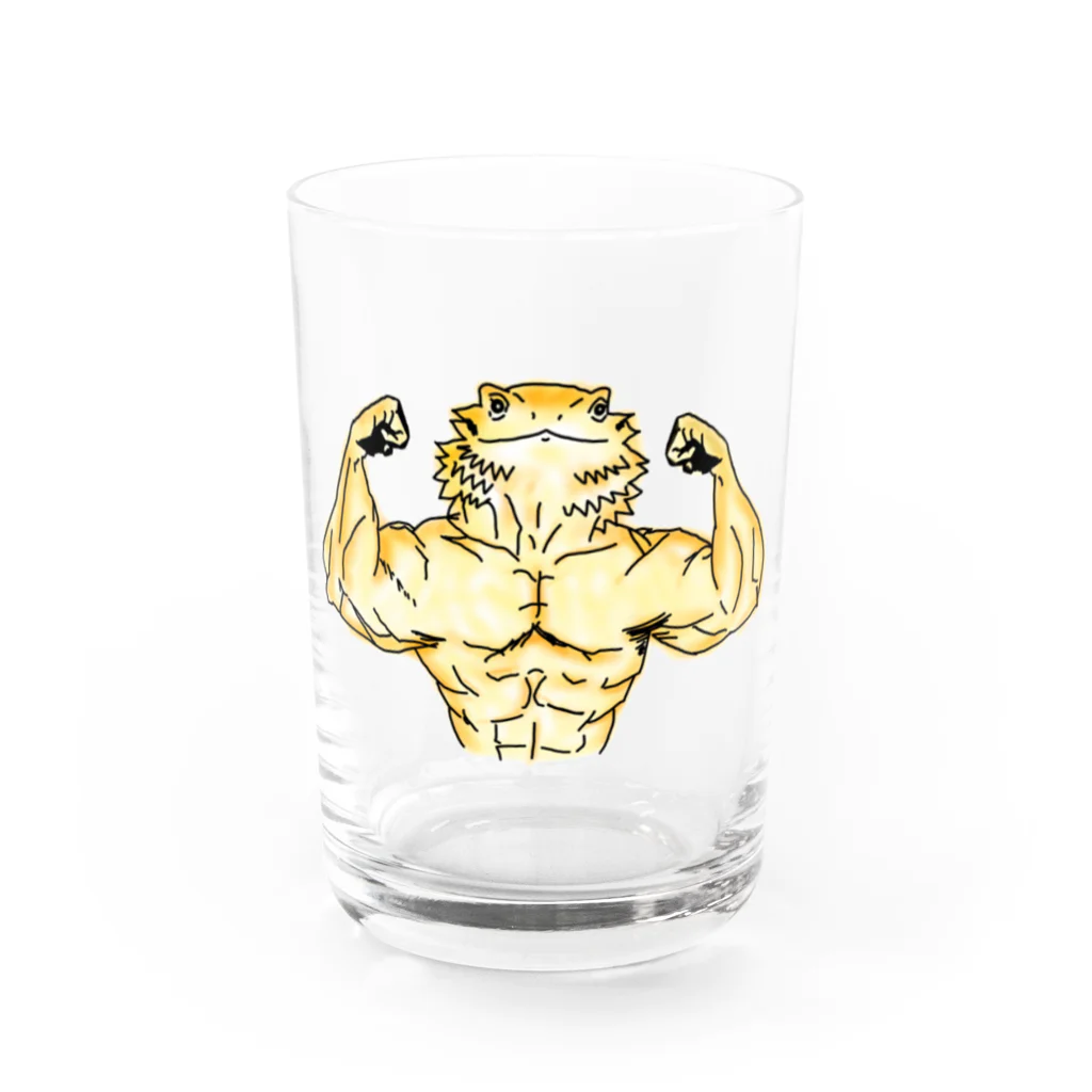 マッチョ系動物のマッチョのフトアゴくん Water Glass :front