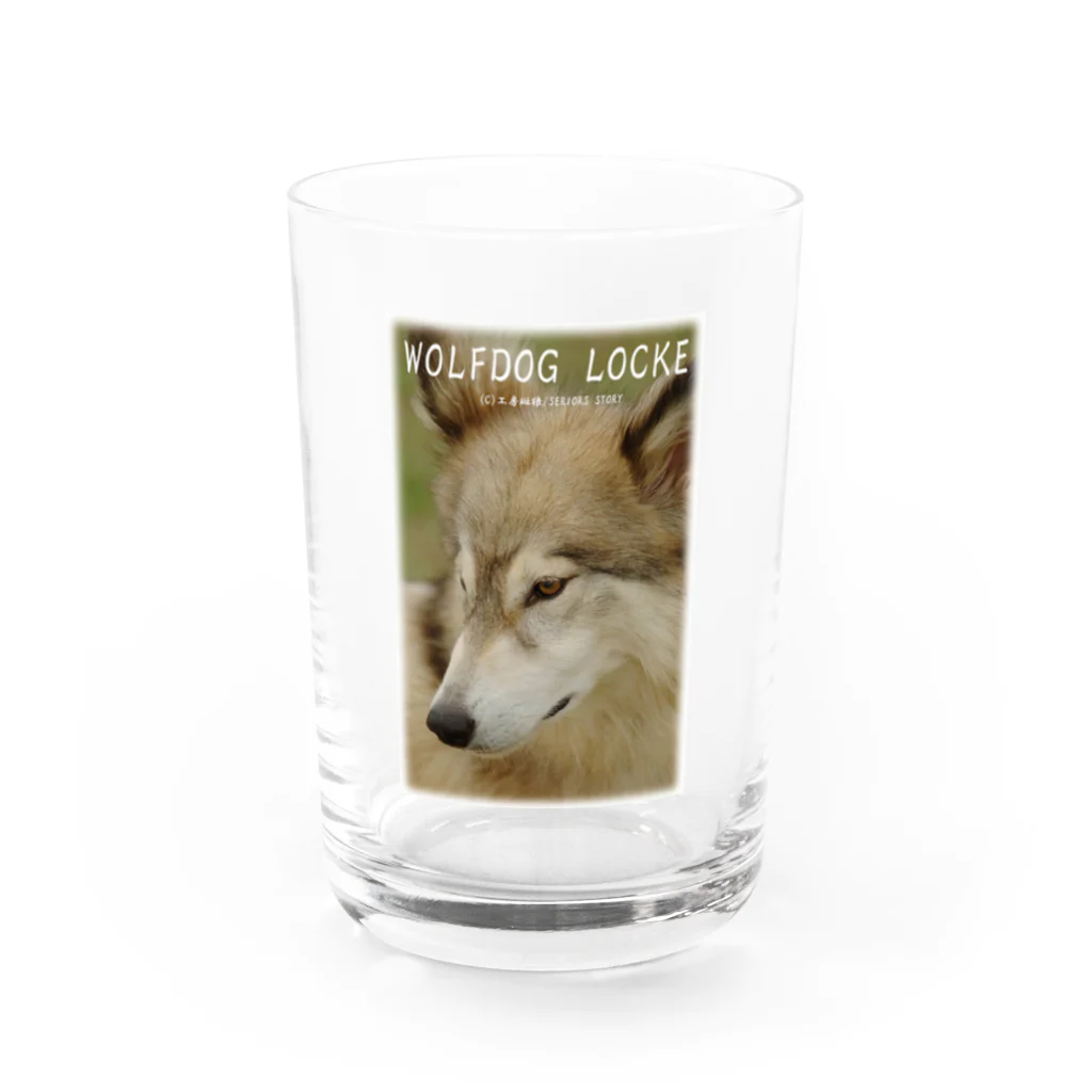 工房斑狼の狼犬ロックフォト Water Glass :front